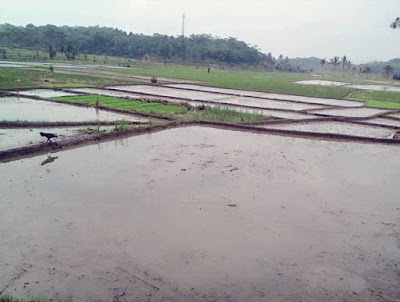 Photos of Kp Pasir Suren