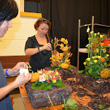 Taller tardor - DSC_0076.JPG