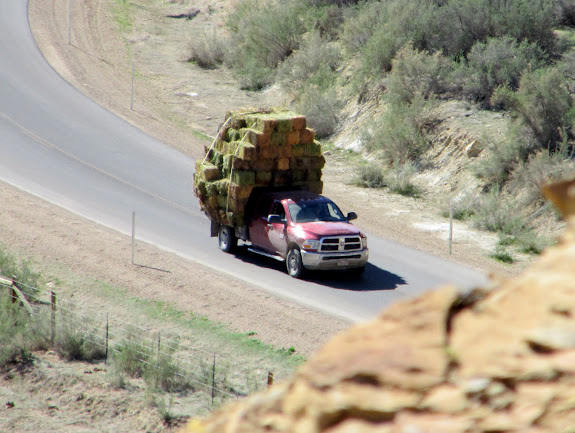 George with a towering load of hay