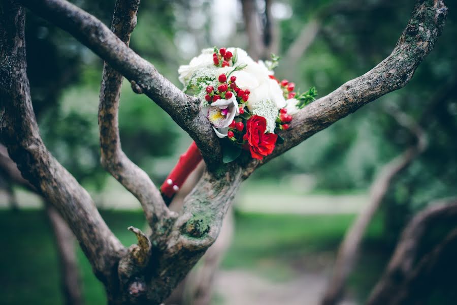 Düğün fotoğrafçısı Ilya Lobov (ilyailya). 18 Eylül 2014 fotoları