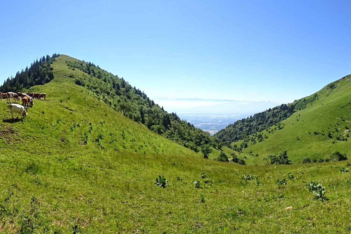 DSC07218.JPG