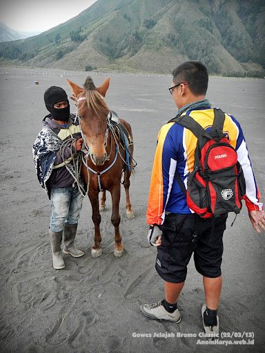 Naik kuda dari tempat parkir 