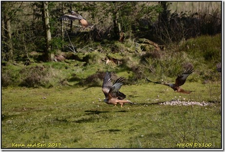 Nant yr Arian - March