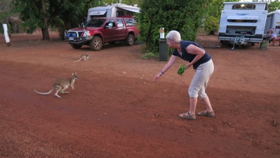 Pat feeding