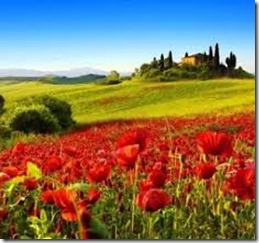 TOSCANA 5 TOSCANA 5