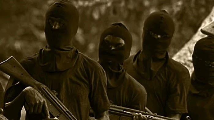 Our negotiation with bandits yielding results - Katsina Gov.