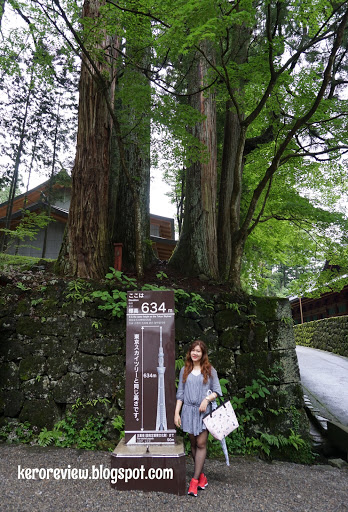 รีวิว เที่ยวญี่ปุ่น - นิกโก้ เมืองมรดกโลก ตั๋วเที่ยว 1 วัน ศาลเจ้าโทโชกุ ภาค 2 (CR) Review Japan Travel - Nikko World Heritage 1 Day Pass Ticket Omotesando Station part 2