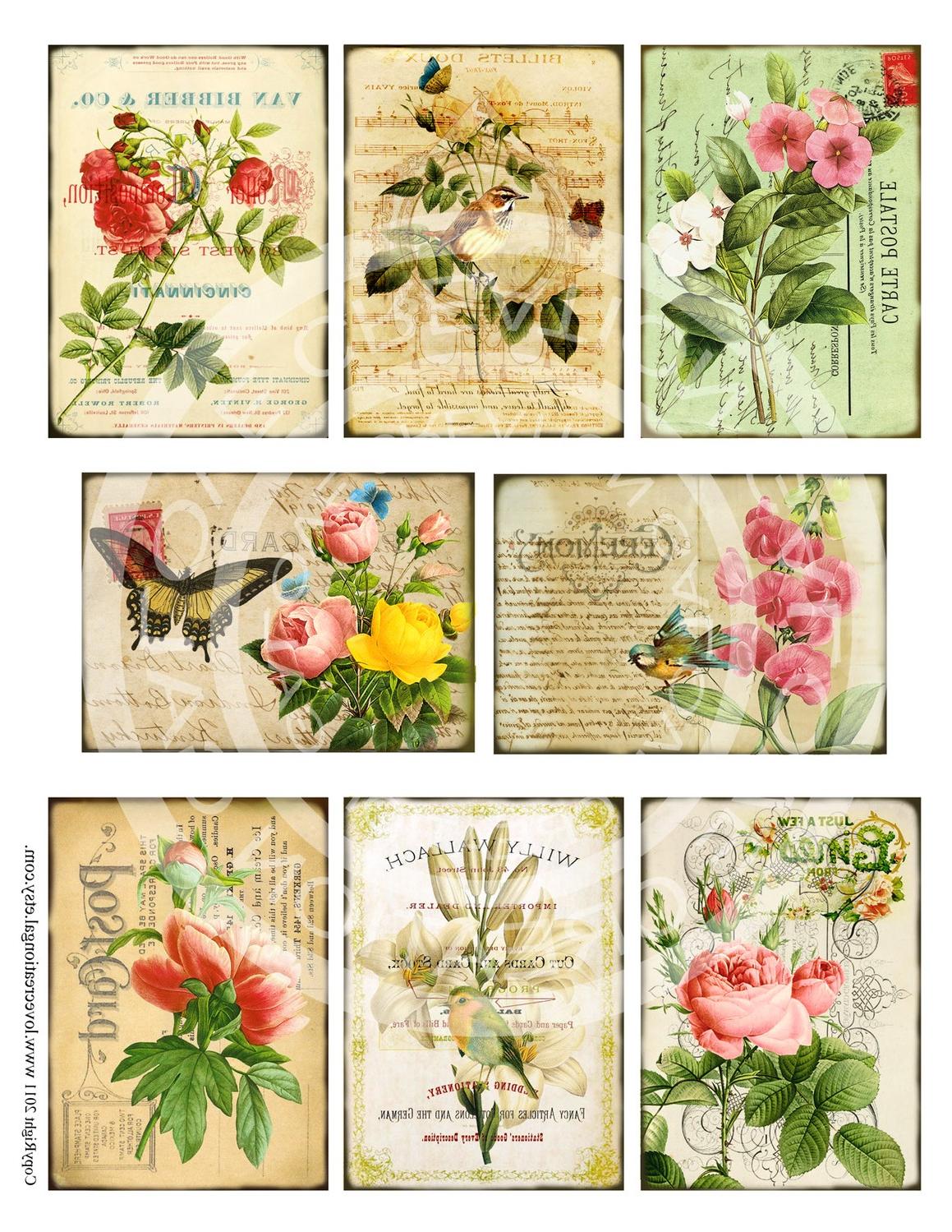 Vintage Birds Flower Rose