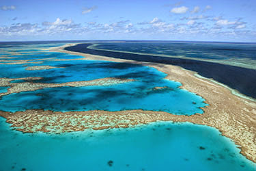 AUSTRALIA: EL OTRO LADO DEL MUNDO - Blogs de Australia - Airlie Beach y las impresionantes Whitsundays (16)