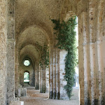 Abbaye des Vaux de Cernay : vestiges de l'abbaye