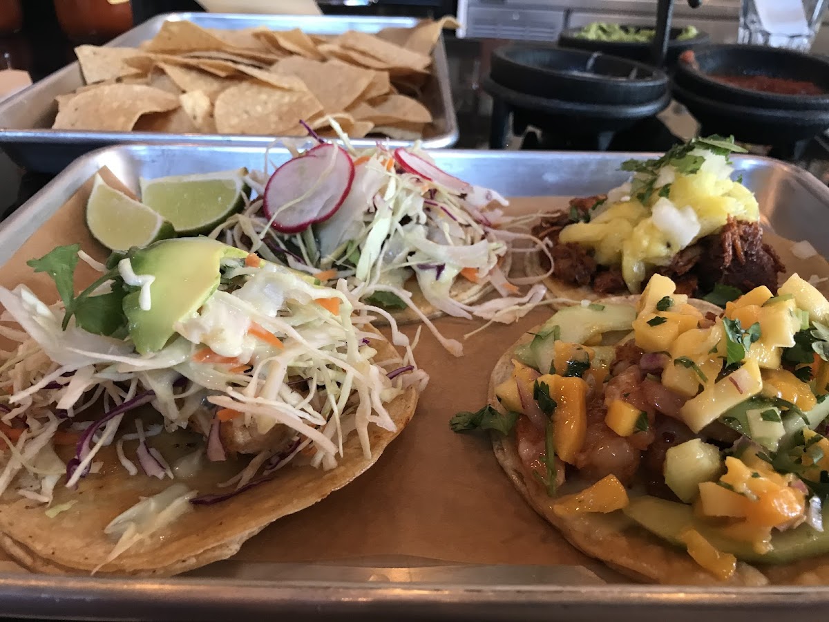 Gluten-Free Tacos at El Arbol Taqueria