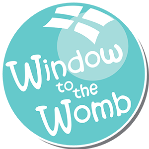 Window to the Womb Belfast