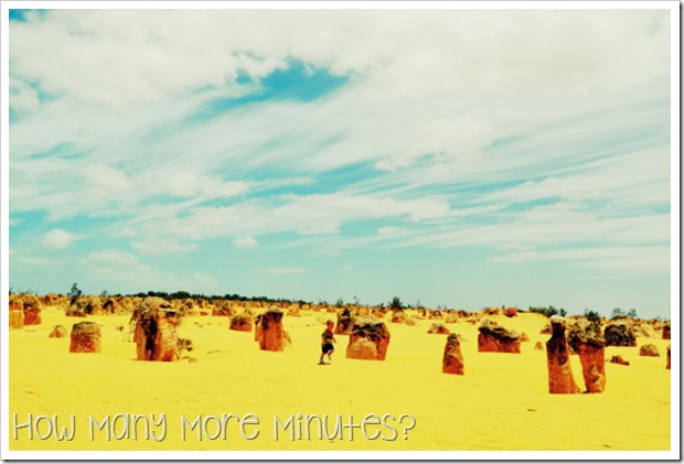 The Pinnacles: Nambug National Park | How Many More Minutes?