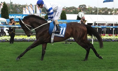 cox plate_kermadec 1