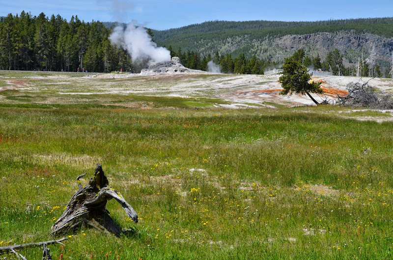 yellowstone old faithful