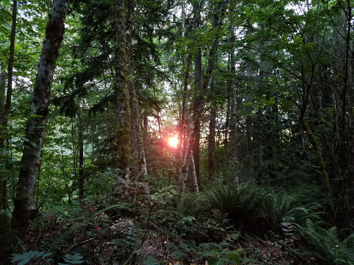 Tourist Attraction «Preston-Snoqualmie Trail Head parking», reviews and photos, Preston-Snoqualmie Trail, Fall City, WA 98024, USA