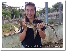 Carrying a Crocodile