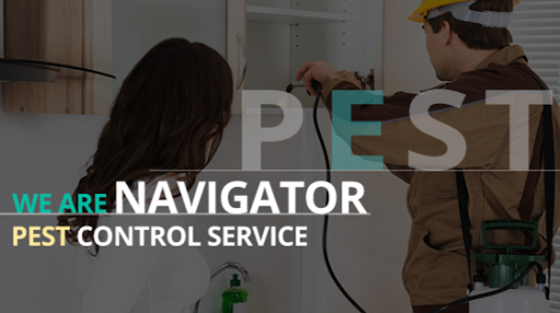 Pest Control in Bangalore - Navigator Pest Control Services Pvt Ltd, No. 17/11, 2nd Floor, Opp. to Rajkumar Samadhi,, Outer Ring Rd, Nandini Layout, Bengaluru, Karnataka 560096, India, Pest_Control_Service, state KA