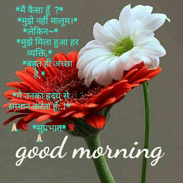 Good Morning Pictures 2023 In Hindi Punjabi English Good Morning Pictures