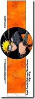 Naruto-free-printable-035