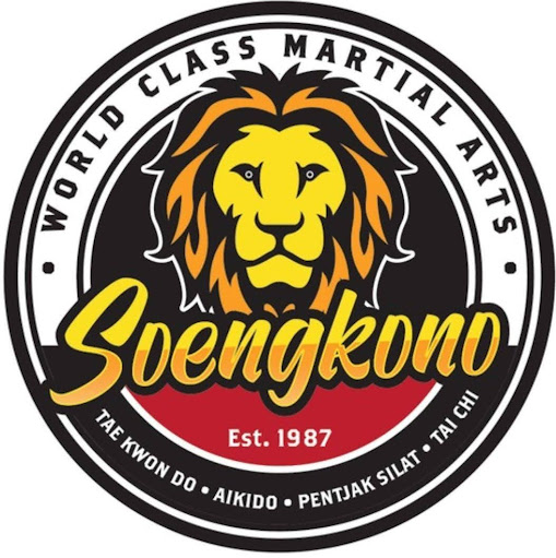 Soengkono World Class Martial Arts logo