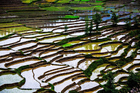 Terraced fields of Battagram