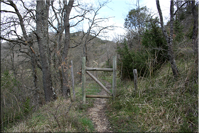 Puerta de madera