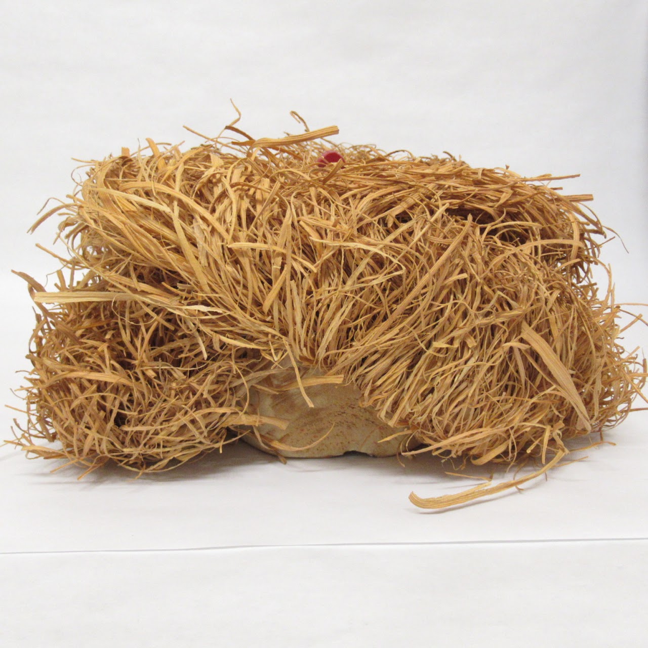 Iroquois "Smallpox" Mask