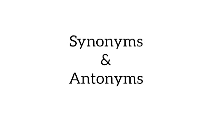 Synonym and Antonym