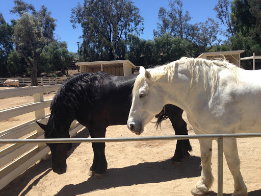 Museum «Leonis Adobe Museum», reviews and photos, 23537 Calabasas Rd, Calabasas, CA 91302, USA