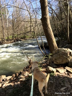 Casey checking out the creek