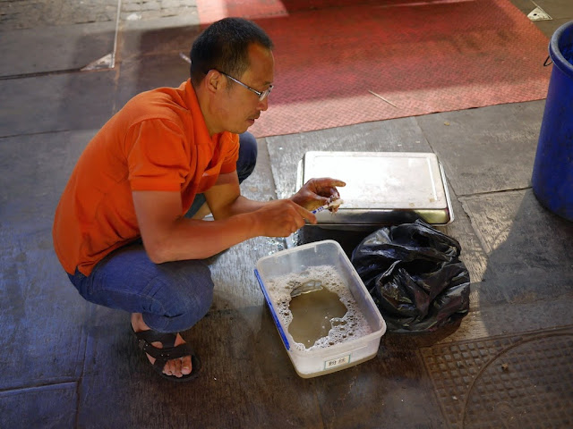 Man cleaning a live crayfish with soap, water, and a toothbrush.