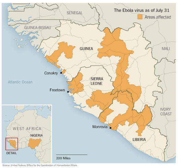 infographic by the New York Times