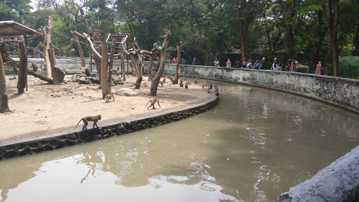 photo of Surabaya Zoo