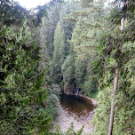 peaceful waterfalls at the Capilano Suspension Bridge in North Vancouver, Canada 