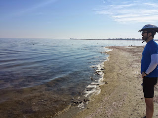 Shores of the quixotic Salton Sea.