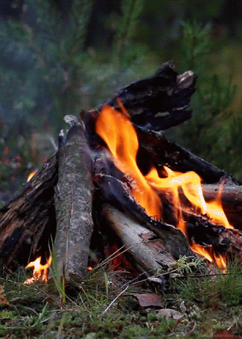 1fc33db9b1c59f0733dd066ba7dda9dl.gif