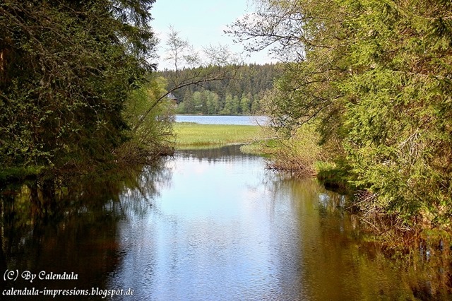 Windgfällweiher Seerundgang