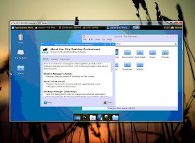 Icebergs Xubuntu via VNC in Windows