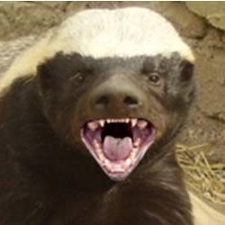 Honey Badger (Htngaf)