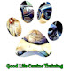 Good Life Canine Training, LLC: A Kinder way to Obedience!