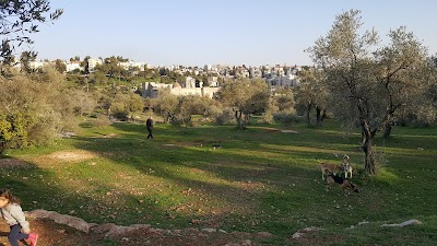 Photos of חניון להבים חלמוניות