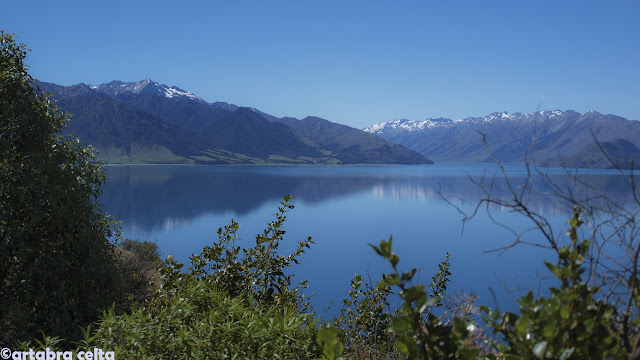 BRUCE BAY, HAAST PASS, LAGO HAWEA, WANAKA,MONTE ASPIRING Y QUEENSTOWN - NUEVA ZELANDA EN AUTOCARAVANA. UN VIAJE DE ENSUEÑO (6)