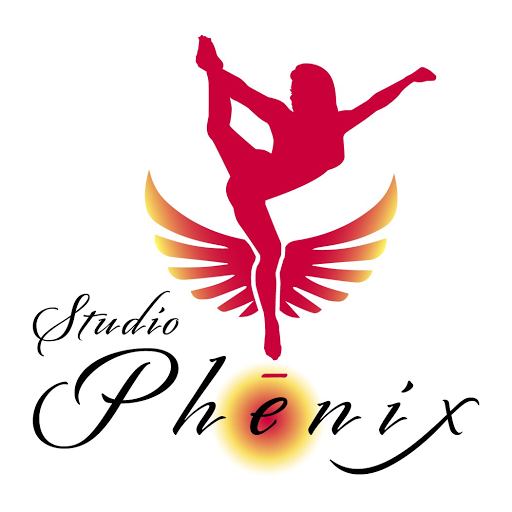 Studio Phénix - Montreal's Greatest Pole Dance & Aerial Arts Studio