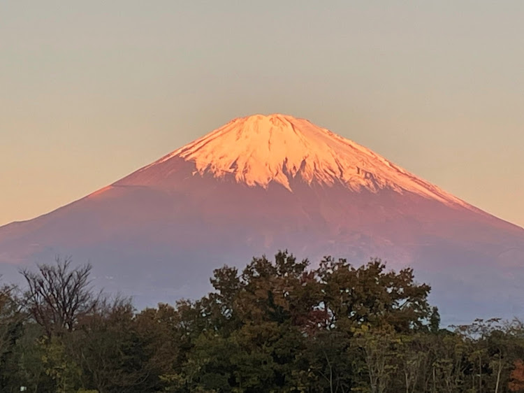 の投稿画像1枚目