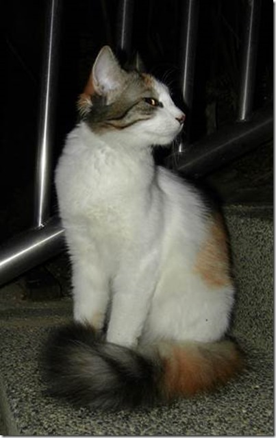 clip_image008