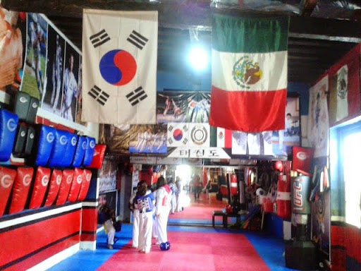 Doyang Black Belt Instituto Tae Kwon Do Olímpico De México, 2 sur 521, Col Centro, 75520 Cd Serdán, Pue., México, Escuela de artes marciales | PUE