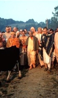 Hare Krishna