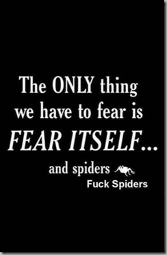 fear and spiders2 fear and spiders2