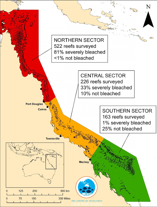 A map of the Great Barrier Reef shows the results of aerial surveys for 911 reefs in 2016. Of 522 reefs surveyed in the Northern Sector, 81 percent were severly bleached. Photo: Tom Bridge and James Kerry / ARC Centre of Excellence for Coral Reef Studies